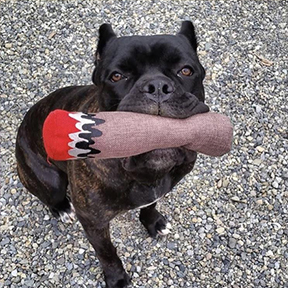 Hemp "Blunt" Cigar Dog Toy