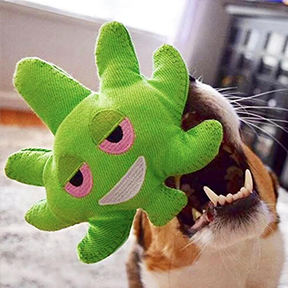 Hemp "Weed Emoji" Dog Toy